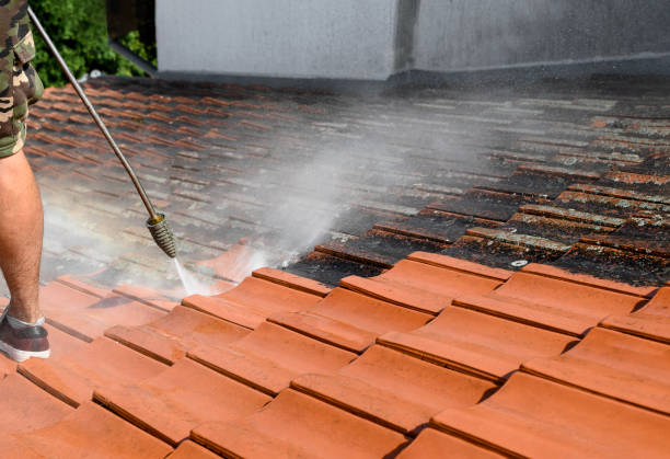 Best Roof Pressure Washing  in Glenwood Landing, NY